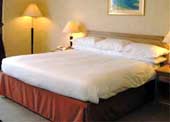 Best Western Palace Hotel & Spa