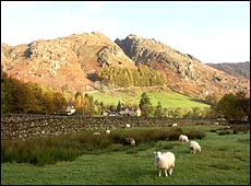 Langdale Valleys 