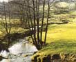 Brecon Beacons National Park