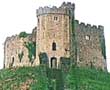 Cardiff Castle