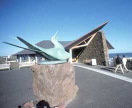 Scottish Seabird Centre